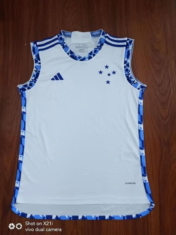 Thailand Quality(AAA) 2024 Cruzeiro Training Vest Soccer Jersey 02
