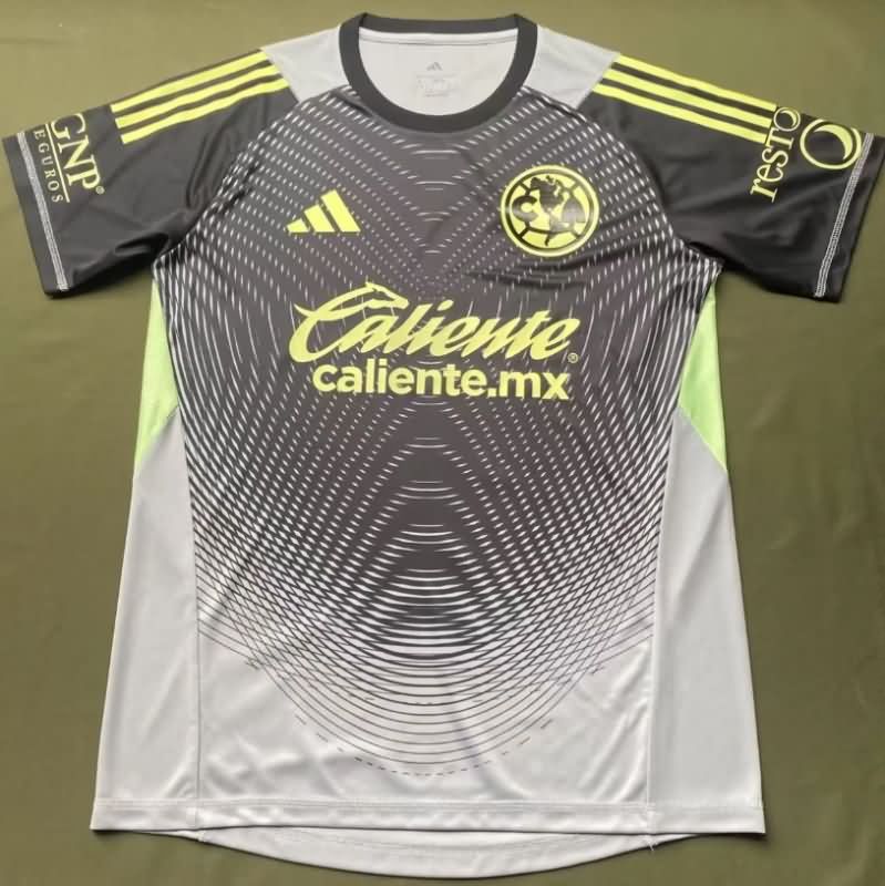 Thailand Quality(AAA) 25/26 Club America Goalkeeper Grey Soccer Jersey