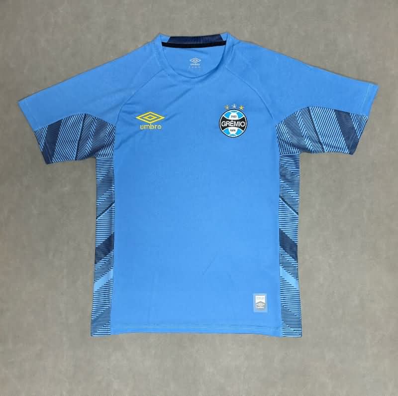 Thailand Quality(AAA) 2025 Gremio Goalkeeper Blue Soccer Jersey