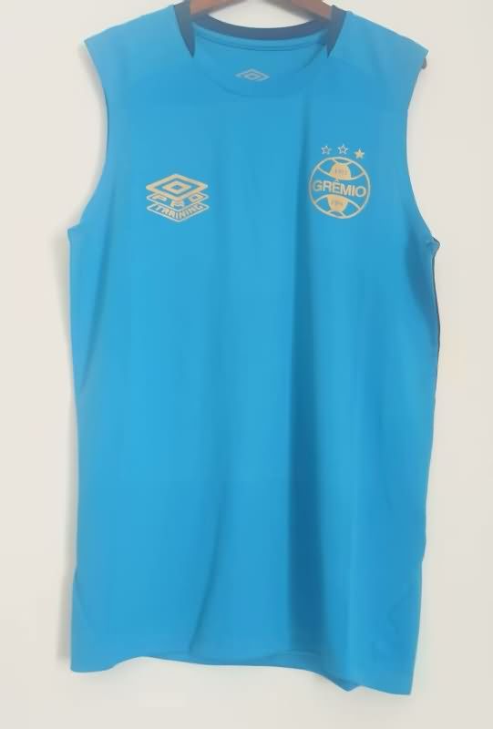 Thailand Quality(AAA) 2025 Gremio Training Vest Soccer Jersey