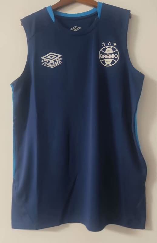 Thailand Quality(AAA) 2025 Gremio Training Vest Soccer Jersey 02