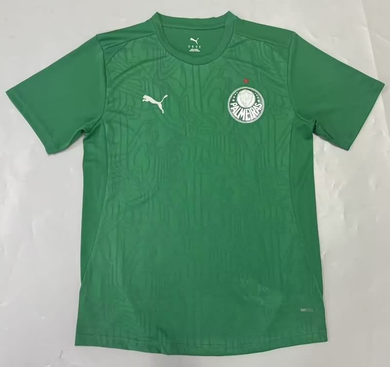 Thailand Quality(AAA) 2025 Palmeiras Goalkeeper Green Soccer Jersey