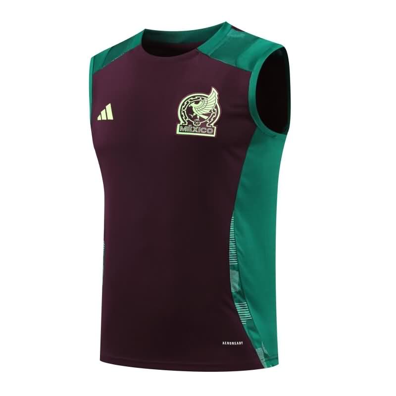 Thailand Quality(AAA) 2024 Mexico Training Vest Soccer Jersey