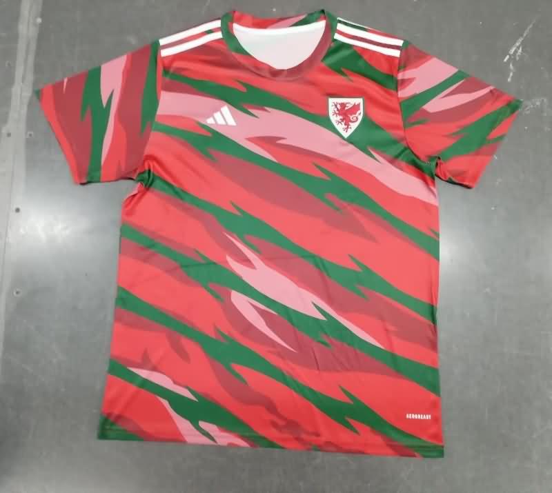 Thailand Quality(AAA) 2024 Wales Training Soccer Jersey